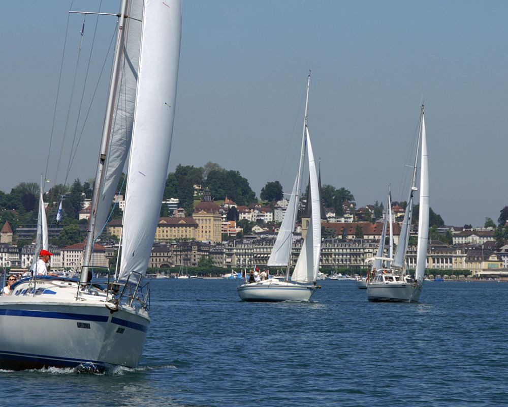 Mehrere Yachten segeln auf dem Vierwaldstättersee vor dem Ufer